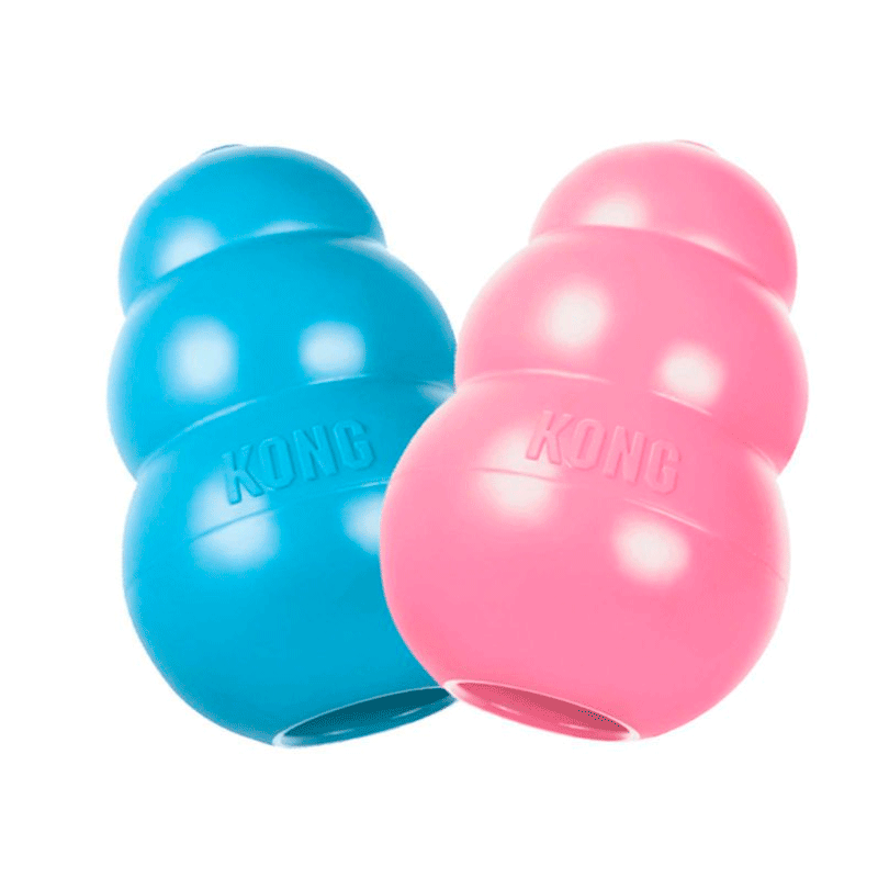 kong puppy kong puppy